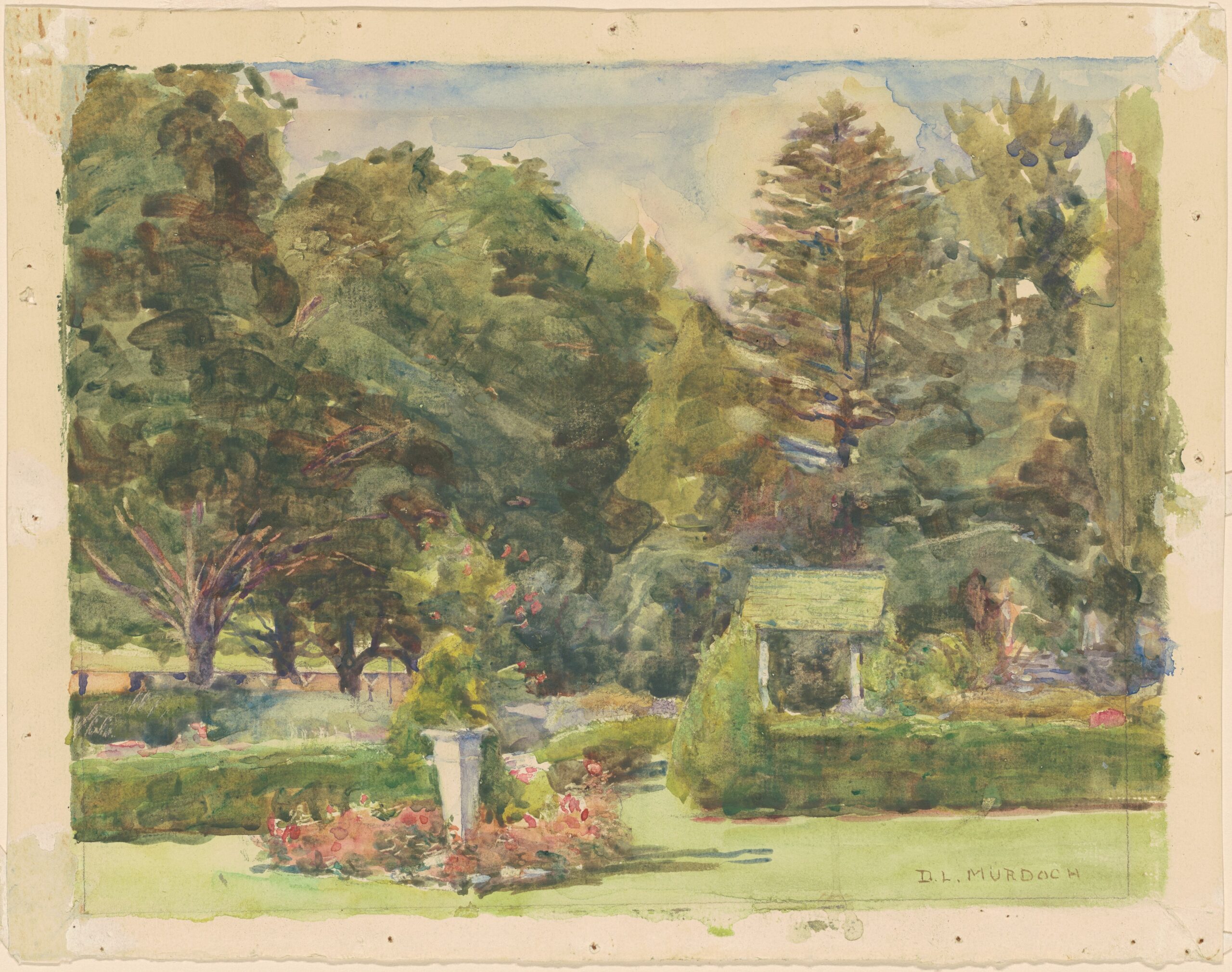 Gardening for Beginners: A Gentle Beginning in the Garden
