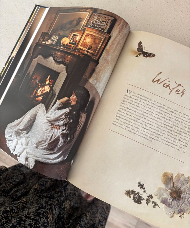 An American in Provence coffee table book by Jamie Beck
